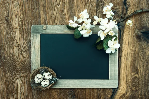 Chalkboard with apple tree blossom and easter eggs decoration — Stock Photo, Image