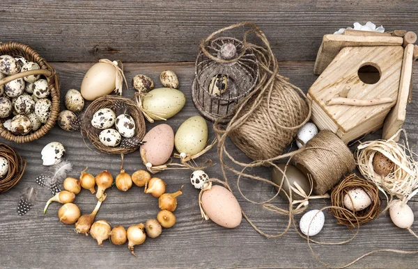 Vintage decoration with eggs and flower bulbs — Stock Photo, Image