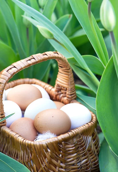 Natuurlijke eieren in een mand en verse lente tulpen — Stockfoto