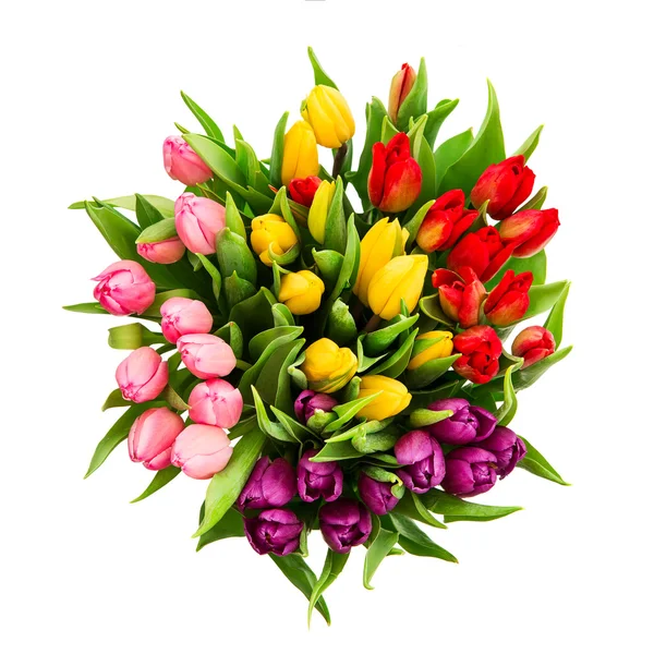 Fresh multicolor tulip flowers isolated on white — Stock Photo, Image