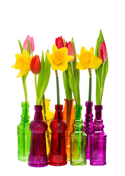 Tulip and narcissus flowers in colorful glass vases — Stock Photo, Image