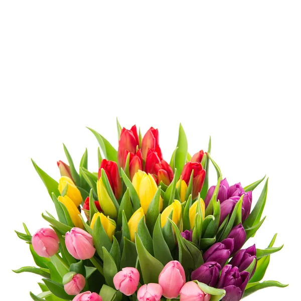 Strauß frischer mehrfarbiger Tulpen — Stockfoto