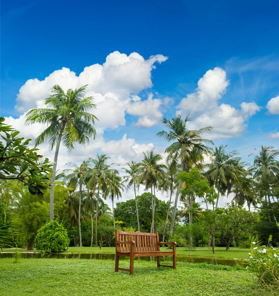 Vackra tropiska trädgården med palmer — Stockfoto