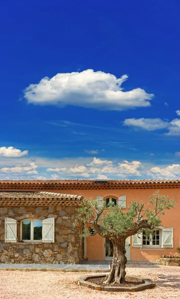 Olive tree and typical small vineyard chateau — Stock Photo, Image