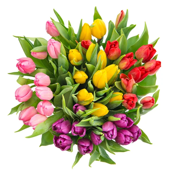 Buquê de tulipas multicoloridas frescas — Fotografia de Stock