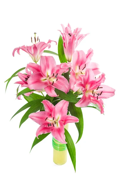 Boeket verse roze lily bloemen — Stockfoto