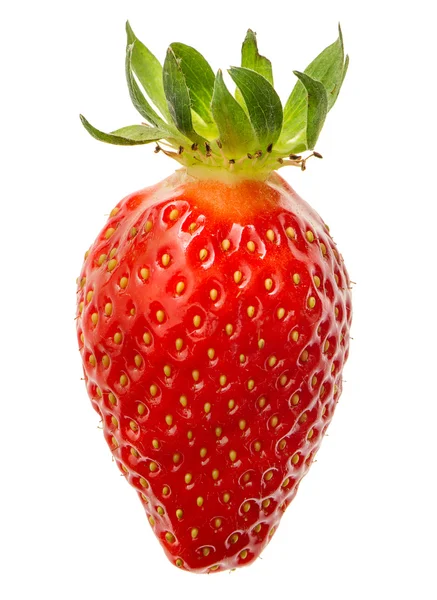 Fotos De Fraise Objet Isole Unique De Stock Fraise Objet Isole Unique Imagenes Libres De Derechos Depositphotos Fotos De Fraise Objet Isole Unique De Stock Fraise Objet Isole Unique Imagenes Libres De Derechos Depositphotos
