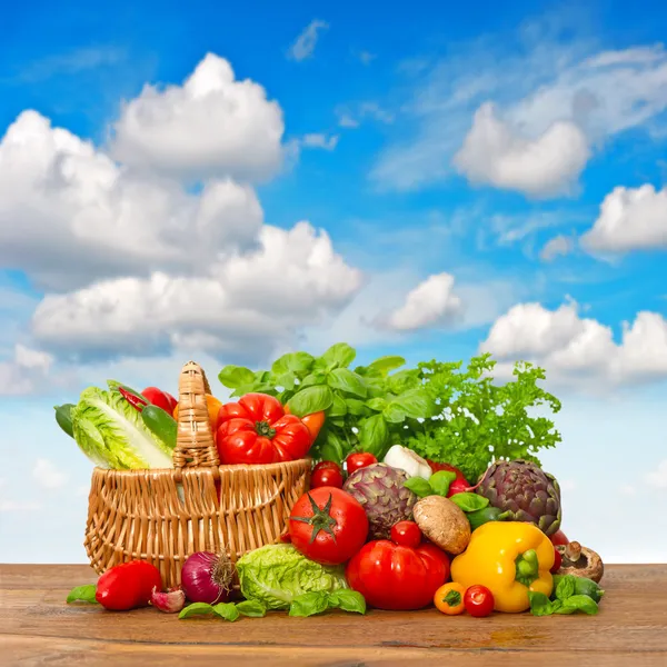 Verduras frescas y hierbas con cielo azul — Foto de Stock