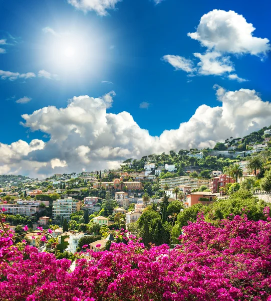 Mediterrane landschap met azalea bloemen — Stockfoto