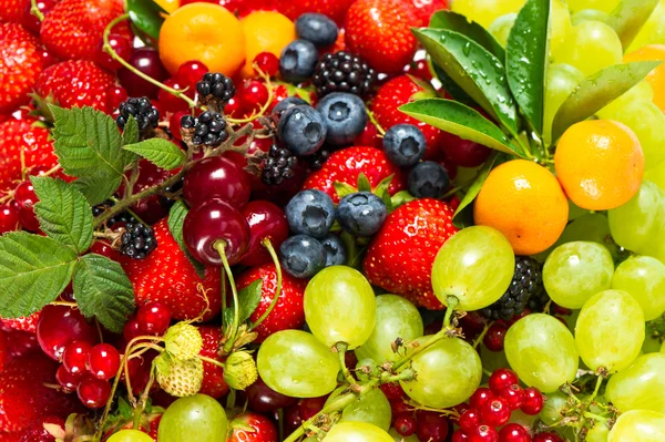 Mix van vers fruit en bessen. rauw voedselingrediënten — Stockfoto