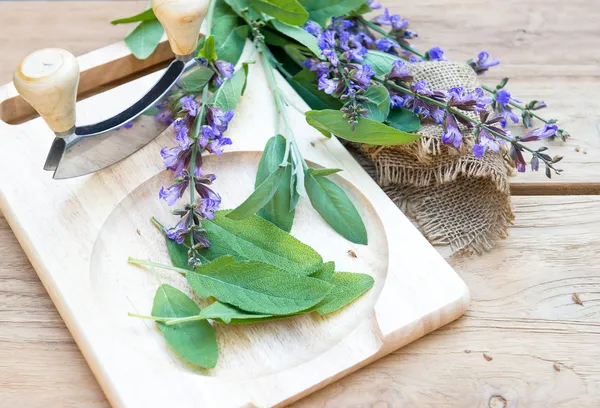 Feuilles et fleurs de sauge fraîches sur planche à découper en bois — Photo