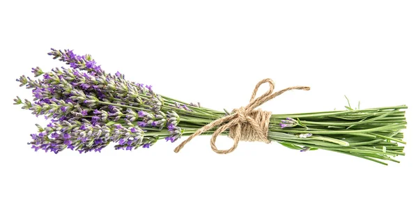 Lavendel blommor — Stockfoto