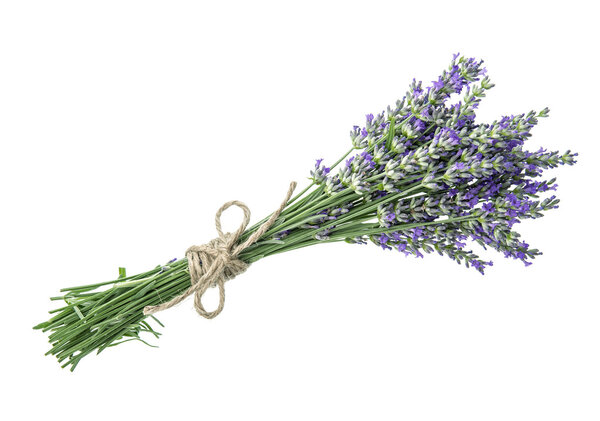 Lavender flowers — Stock Photo, Image