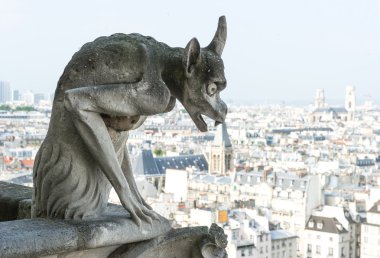 Notre dame görüntülemek