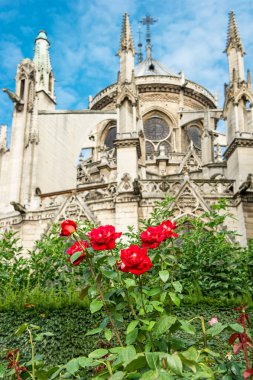 Notre dame de Paris