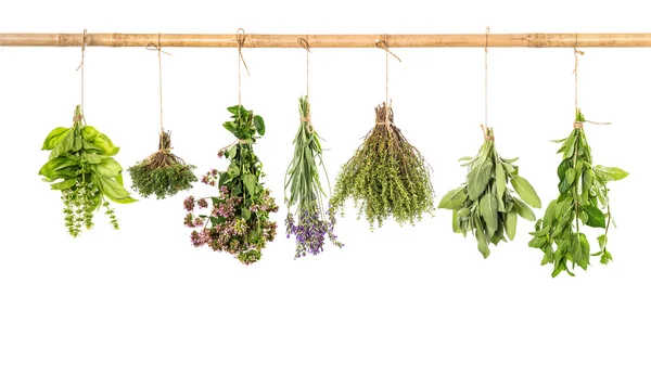 Varios fresh herbs — Stock Photo, Image