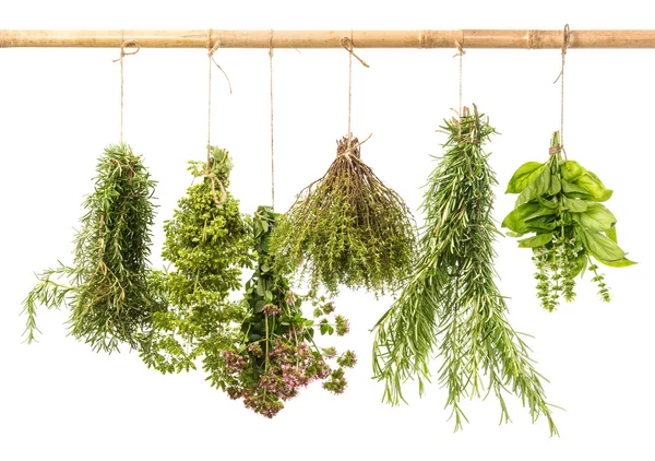 asılı taze ot demetleri