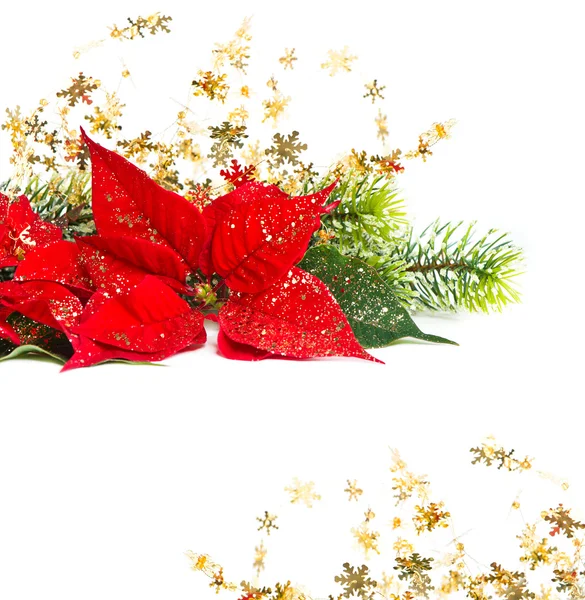Weihnachtsblume mit goldener Dekoration — Stockfoto