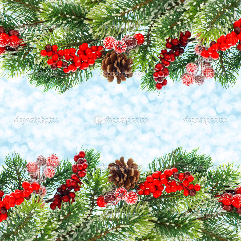 Christmas tree branch with red berrries Stock Photo by ©LiliGraphie