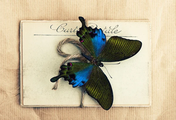Красивая бабочка и старые открытки — стоковое фото