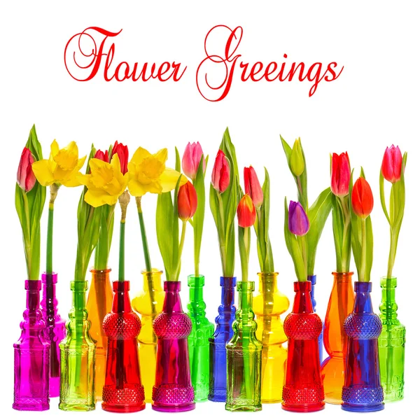 Many tulip and narcissus flowers in colorful vases — Stock Photo, Image