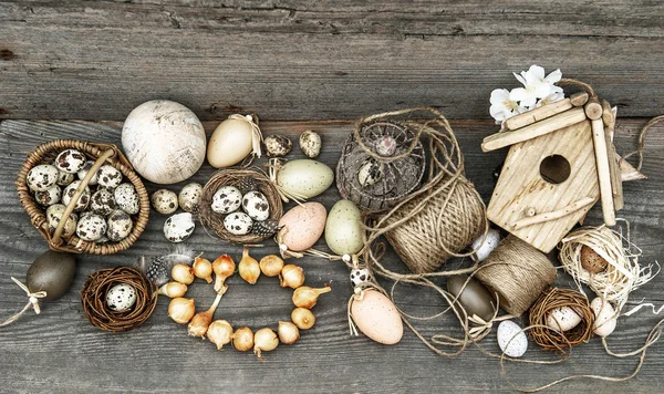 Decorazione vintage con uova e bulbi di fiori — Foto Stock