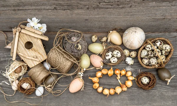 Decoração vintage com ovos e bulbos de flores — Fotografia de Stock