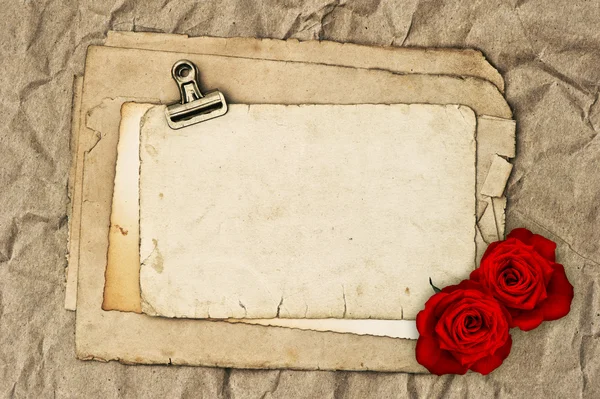 Old blank paper and two rose flowers — Stock Photo, Image