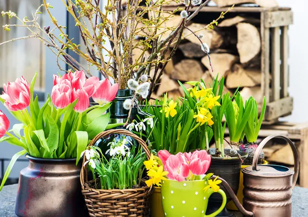 Zuhause Osterdekoration mit Frühlingsblumen — Stockfoto