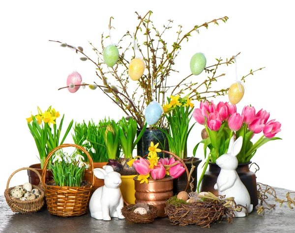 Vårblommor med easter bunny och ägg inredning — Stockfoto