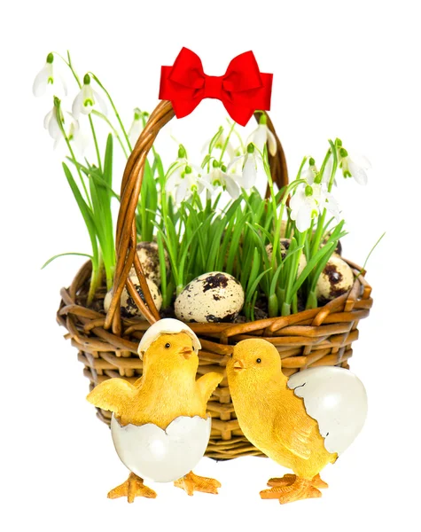 Easter composition with funny chicken and flowers — Stock Photo, Image