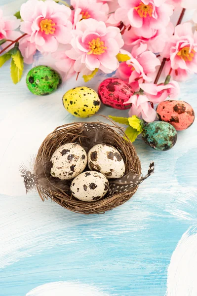 Easter decoration with flowers and quail eggs — Stock Photo, Image