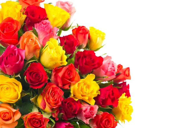 Rosas de colores fotos de stock, imágenes de Rosas de colores sin royalties  | Depositphotos