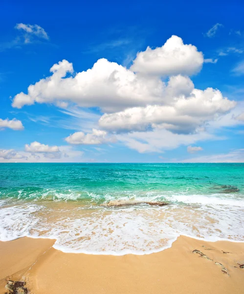 Beautiful turquoise sea and perfect blue sky — Stock Photo, Image