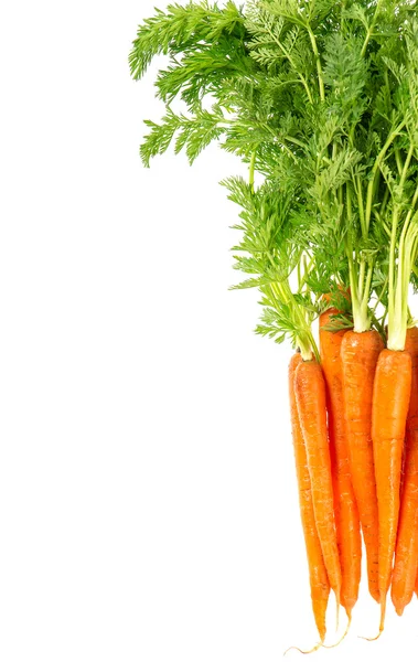 Carrots with green leaves isolated on white background — Stock Photo, Image
