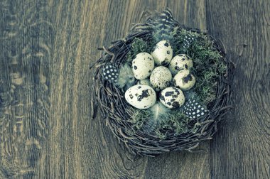 Tahta arka planda yuvada paskalya yumurtaları