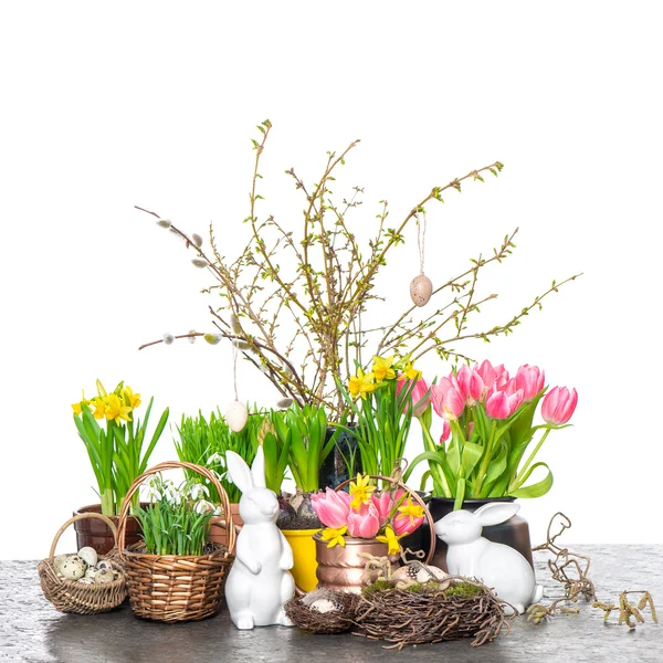 Osterdekoration mit Frühlingsblumen und Eiern — Stockfoto