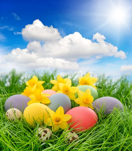 Huevos de Pascua y flores en hierba con cielo azul — Foto de Stock