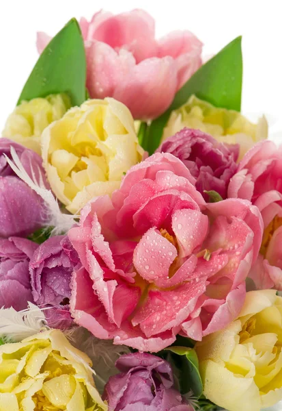 Flores frescas de tulipán con gotas de agua — Foto de Stock