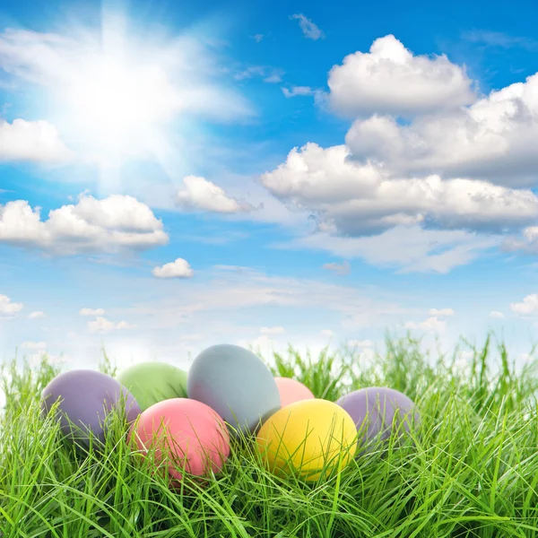 Oeufs de Pâques dans l'herbe verte avec ciel bleu — Photo