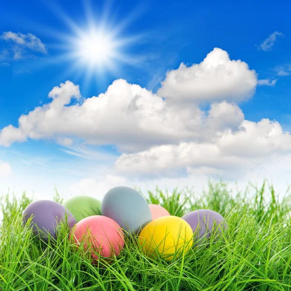 Oeufs de Pâques dans l'herbe verte avec ciel bleu — Photo