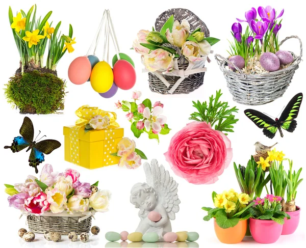 Set di fiori primaverili, uova di Pasqua, farfalla — Foto Stock