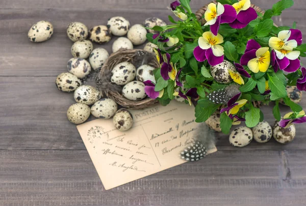 Flores de pansy, ovos de Páscoa e cartão de saudação — Fotografia de Stock