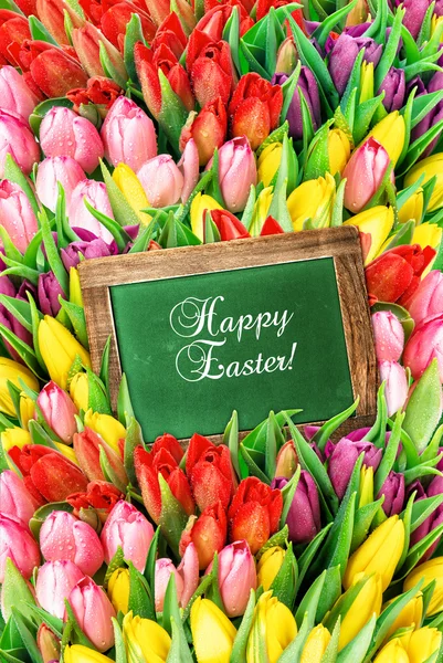 Verse lente tulp bloemen en groene schoolbord — Stockfoto