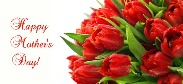 Tulipani rossi con gocce d'acqua. fiori di primavera — Foto Stock