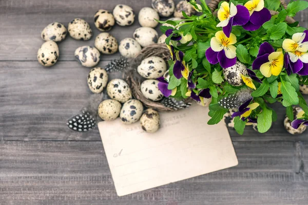 Pansy flowers, quail eggs and greeting card — Stock Photo, Image