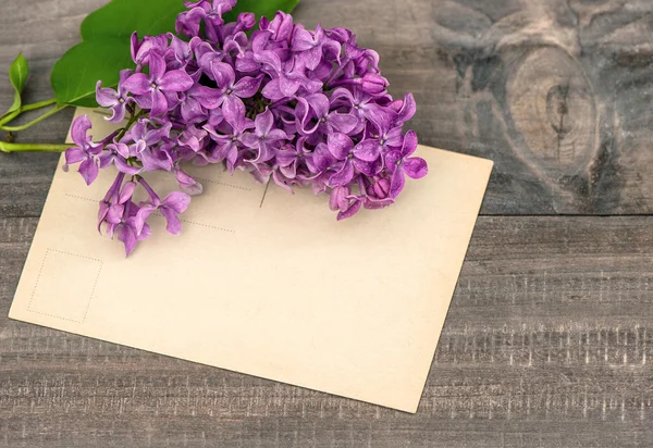 Lilac flowers on wooden background — Stock Photo, Image