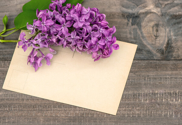 lilac flowers on wooden background