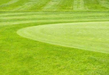 Golf Sahası. yeşil çim alan arka plan