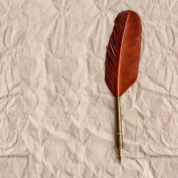 Aged paper with antique ink feather pen — Stock Photo, Image